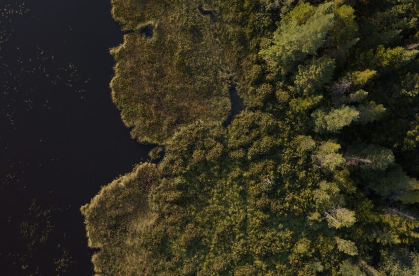  La MRC de L’Islet adopte son Plan régional des milieux humides et hydriques