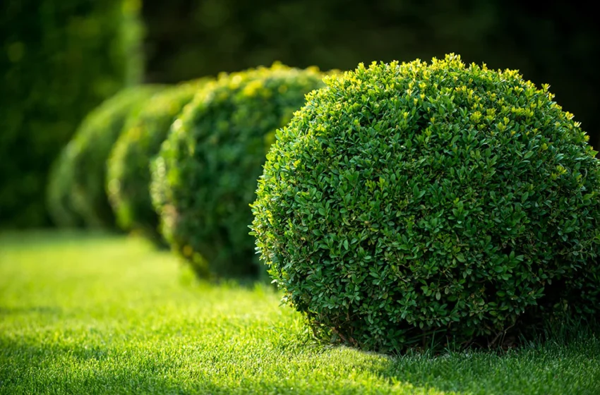  Le jardinage : un moyen simple de rendre votre propriété plus sûre